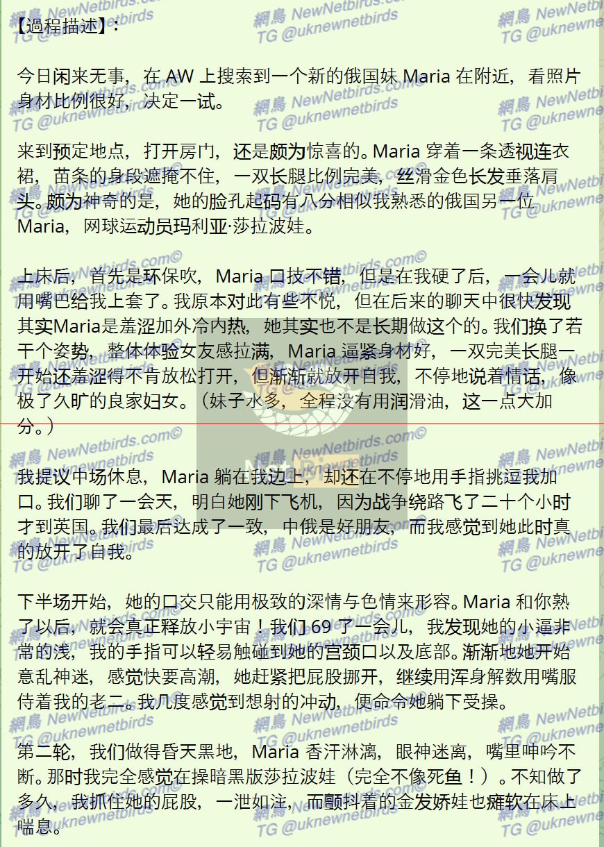 戰號 242 2.jpg